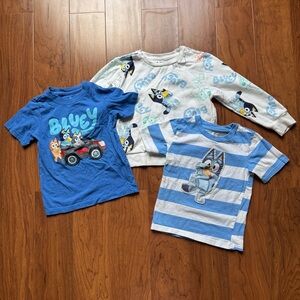 Bluey Shirt Bundle | 2 T-Shirts + 1 Sweatshirt | Boys Size 4T